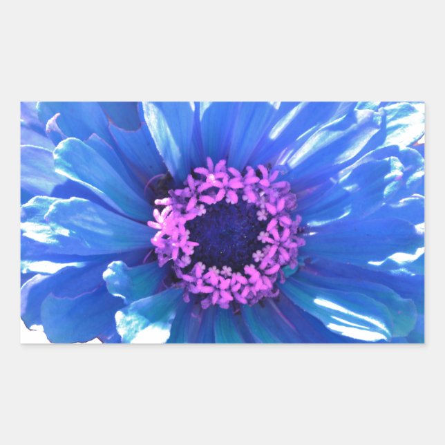Sticker Rectangulaire Bleu (Devant)