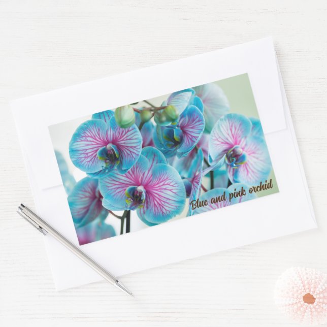 Sticker Rectangulaire Blooming isolé sur un arrière - plan blanc (Enveloppe)