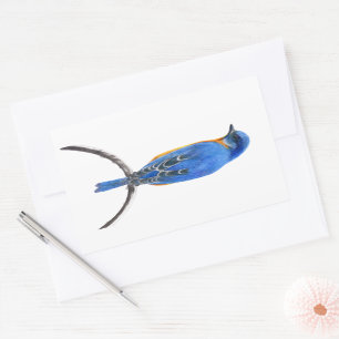 Sticker Rectangulaire Bluebird
