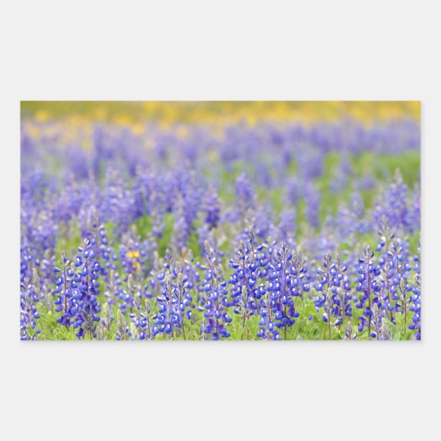 Sticker Rectangulaire Bluebonnets du Texas (Devant)