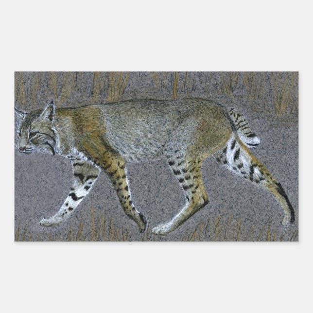 Sticker Rectangulaire Bobcat (Devant)