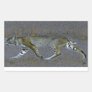 Sticker Rectangulaire Bobcat