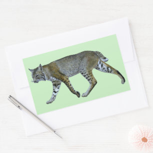 Sticker Rectangulaire Bobcat