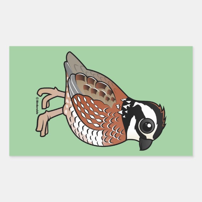 Sticker Rectangulaire Bobwhite (Devant)