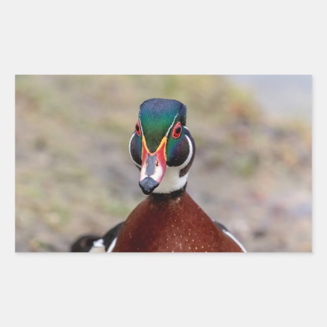 Sticker Rectangulaire Bois (Devant)