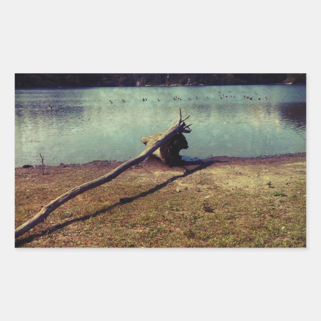 Sticker Rectangulaire Bois (Devant)