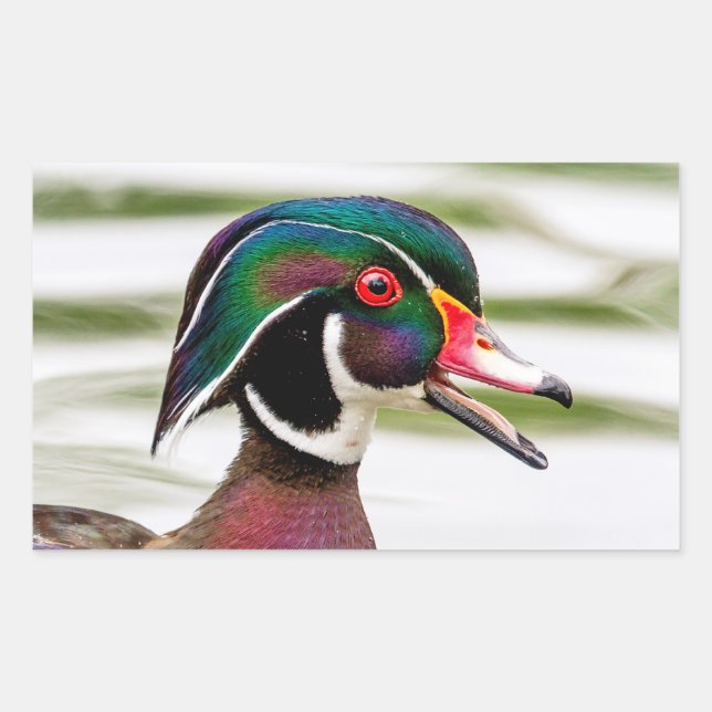 Sticker Rectangulaire Bois (Devant)