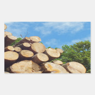 Sticker Rectangulaire bois fraîchement coupé dans la forêt sous ciel ble