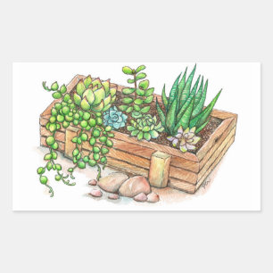 Sticker Rectangulaire Boîte à planteur succulent
