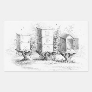 Sticker Rectangulaire Boîtes d'abeilles vintages Miel