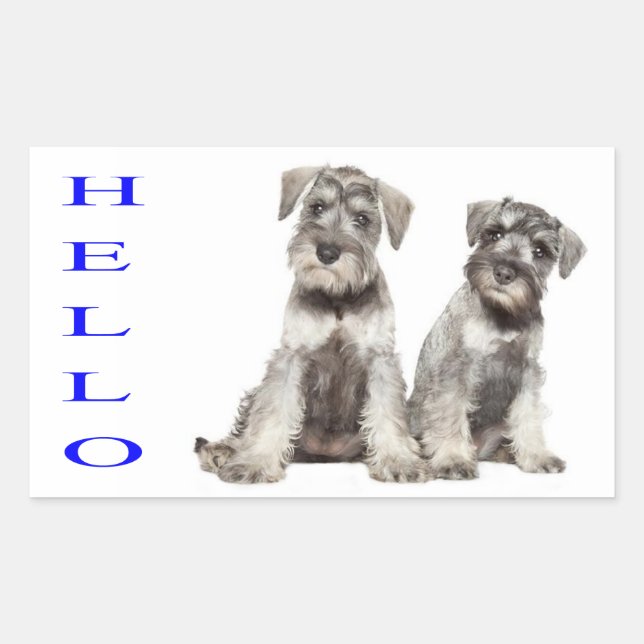 Sticker Rectangulaire Bonjour Miniature Schnauzer Chien Chien Chien Étiq (Devant)