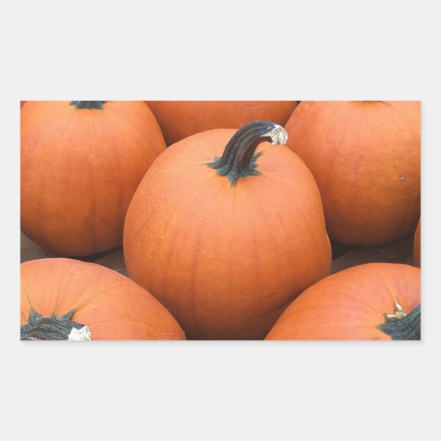 Sticker Rectangulaire Bonne Carving (Devant)