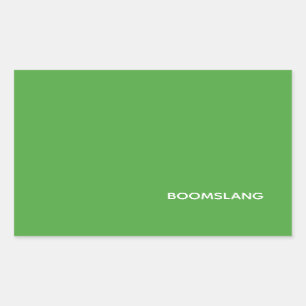 Sticker Rectangulaire Boomslang green color