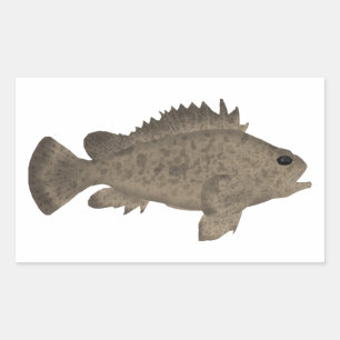 Sticker Rectangulaire Boule