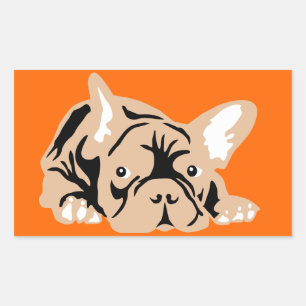 Sticker Rectangulaire Bouledogue français sur orange