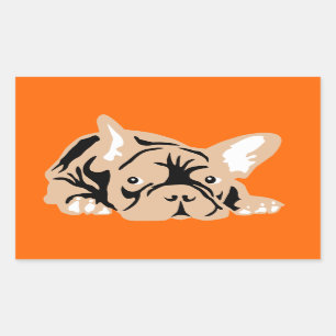 Sticker Rectangulaire Bouledogue français sur orange