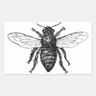 Sticker Rectangulaire Bourdon noir ouvrier abeille miel