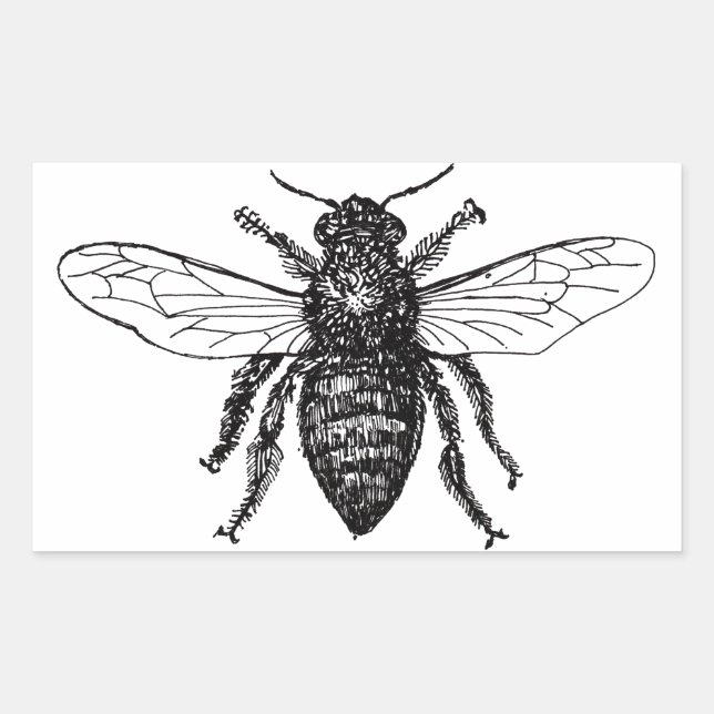 Sticker Rectangulaire Bourdon noir ouvrier abeille miel (Devant)
