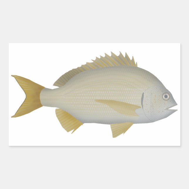 Sticker Rectangulaire Brème de Yellowfin (Devant)