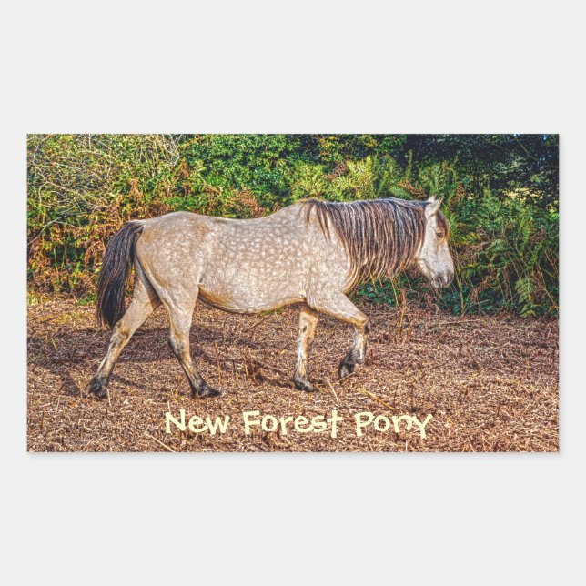 Sticker Rectangulaire Bucskin Nouvelle Forêt Pony Faune (Devant)