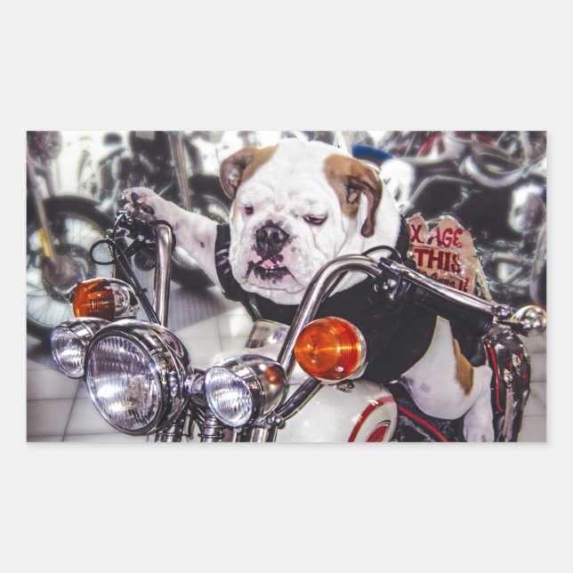 Sticker Rectangulaire Bulldog sur moto (Devant)