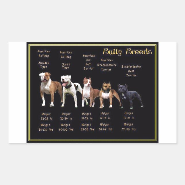 Sticker Rectangulaire Bully Breeds (Devant)