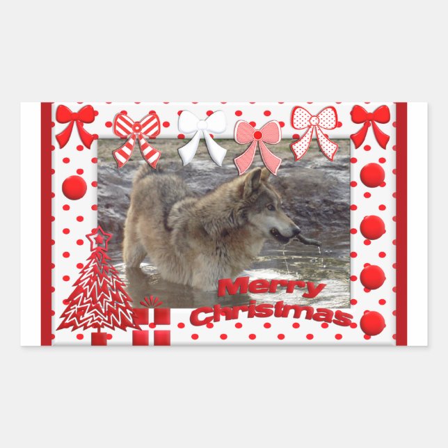 Sticker Rectangulaire c-2011-grey-wolf-017 (Devant)