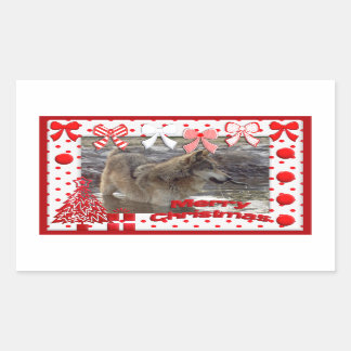 Sticker Rectangulaire c-2011-grey-wolf-017