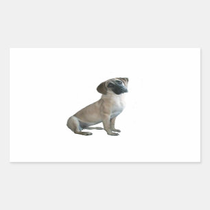 Sticker Rectangulaire Câble à bouche noire #1