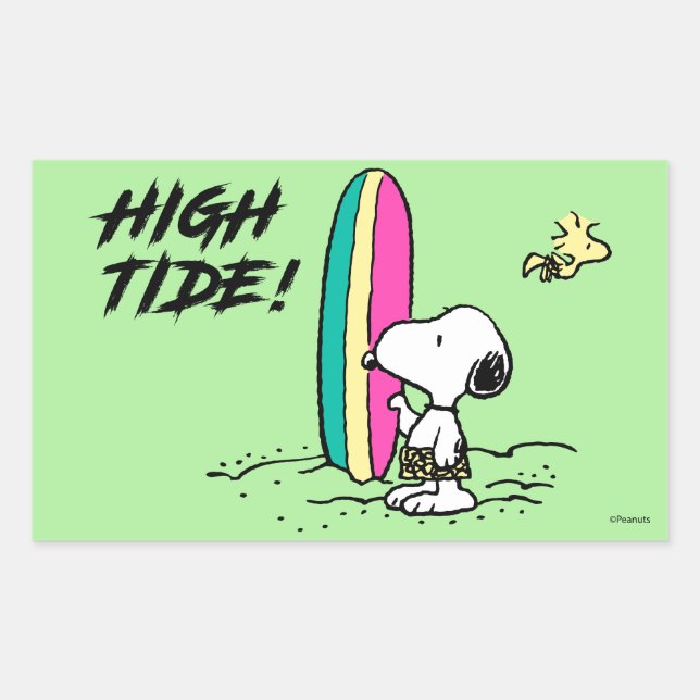 Sticker Rectangulaire cacahuètes | Snoopy & Woodstock High Tide (Devant)