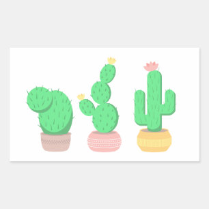 Sticker Rectangulaire Cactus Pots - Cactus Plantes