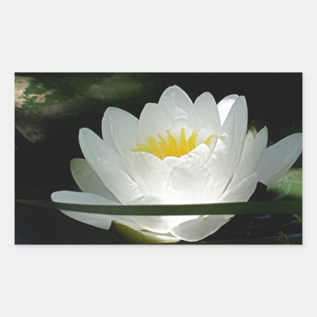 Sticker Rectangulaire Cadeaux de fleurs Lotus (Devant)