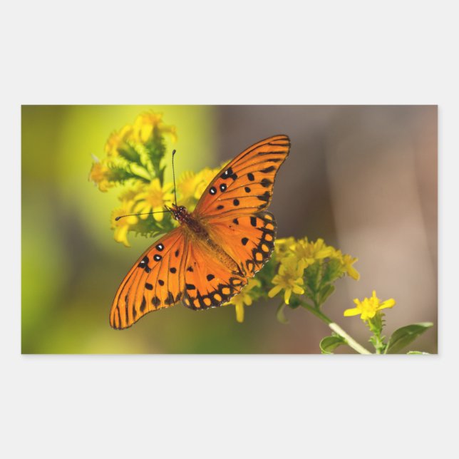 Sticker Rectangulaire Cadeaux et Vêtements Papillon du Golfe Fritillaire (Devant)