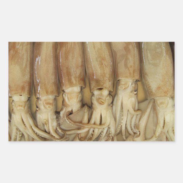 Sticker Rectangulaire Calamari (Devant)