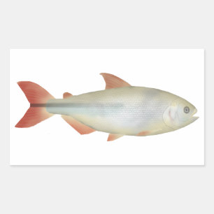 Sticker Rectangulaire Camapuã