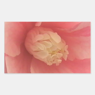 Sticker Rectangulaire Camellia rose
