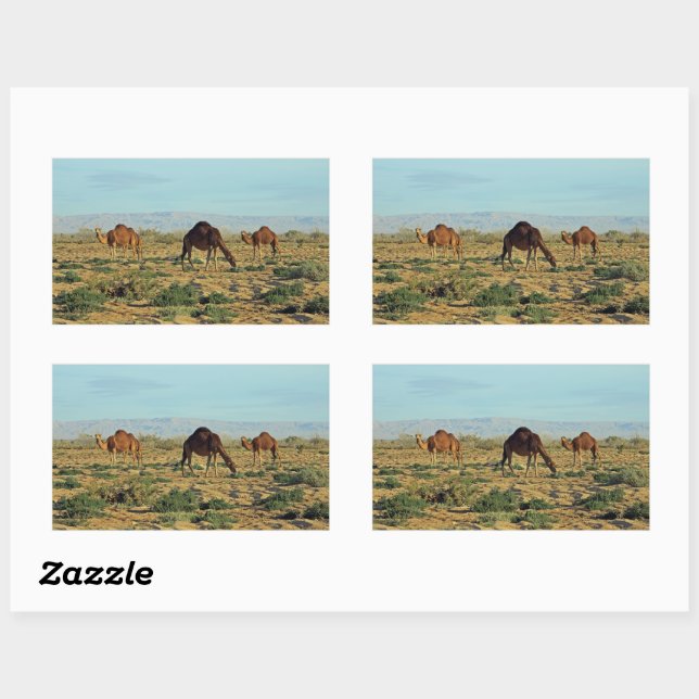 Sticker Rectangulaire Camels, Tunisie (Feuille)
