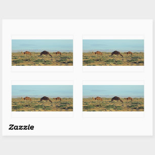 Sticker Rectangulaire Camels, Tunisie