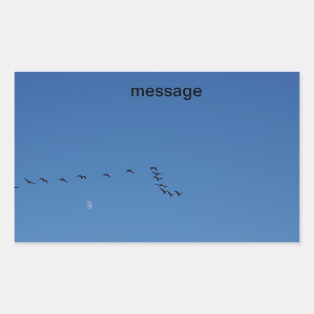 Sticker Rectangulaire Canadian geese (Devant)