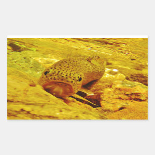Sticker Rectangulaire Canal en flux