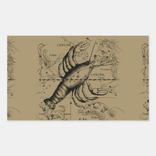 Sticker Rectangulaire Cancer constellation Hevelius 1690 Engaving