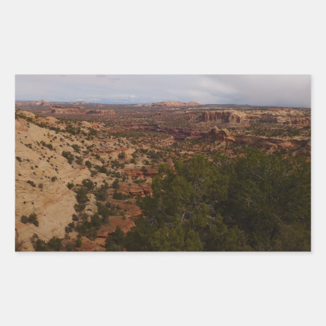 Sticker Rectangulaire Canyonlands Vue depuis le sentier Neck Springs (Devant)