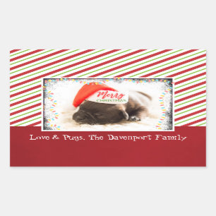 Sticker Rectangulaire Carlin de Noël dans le casquette de Père Noël a