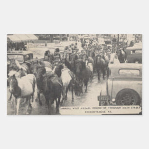 Sticker Rectangulaire Carte postale Chincoteague Pony Vintage 1941
