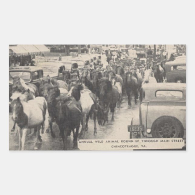Sticker Rectangulaire Carte postale Chincoteague Pony Vintage 1941 (Devant)