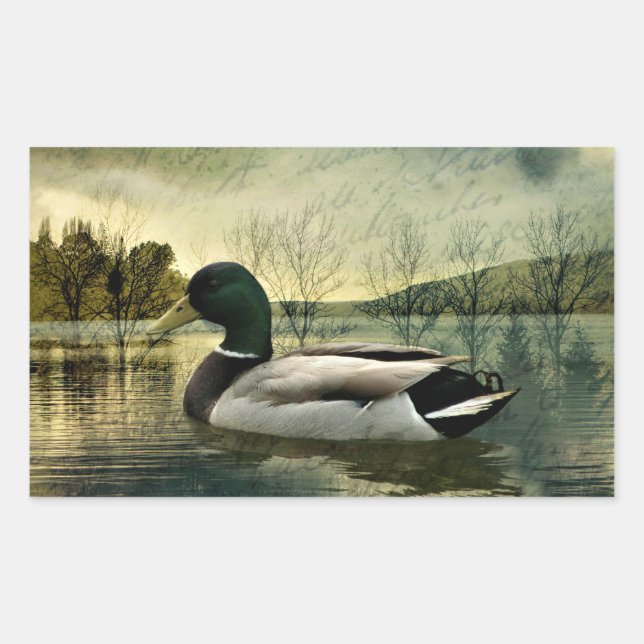 Sticker Rectangulaire Carte postale Patinée vintage Mallard Duck (Devant)