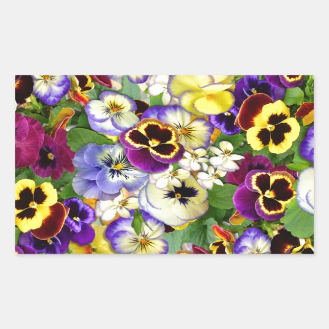Sticker Rectangulaire Cascade de Pansy (Devant)