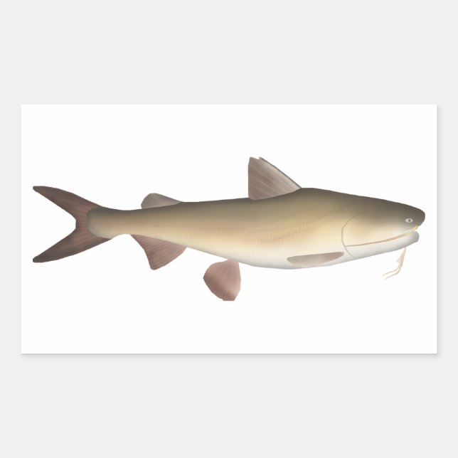 Sticker Rectangulaire Catfish guerrier (Devant)