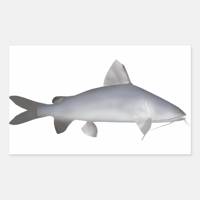 Sticker Rectangulaire Catfish Saumon bleu (Devant)