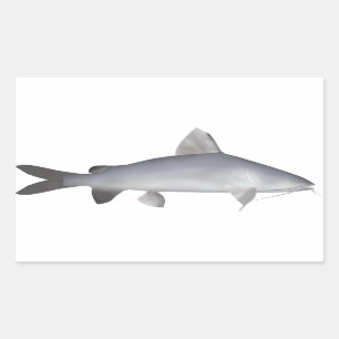 Sticker Rectangulaire Catfish Saumon bleu